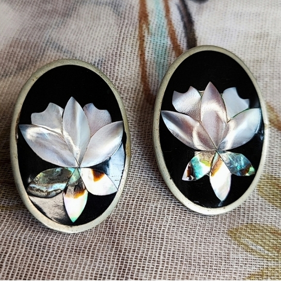 Abalone Shell Alpaca Mexico Signed Sterling Dragonfly Long Bug Vintage Brooch - Picture 10 of 10